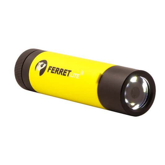 Essential Tools of the Trade for Home Inspectors – Ferret Tools