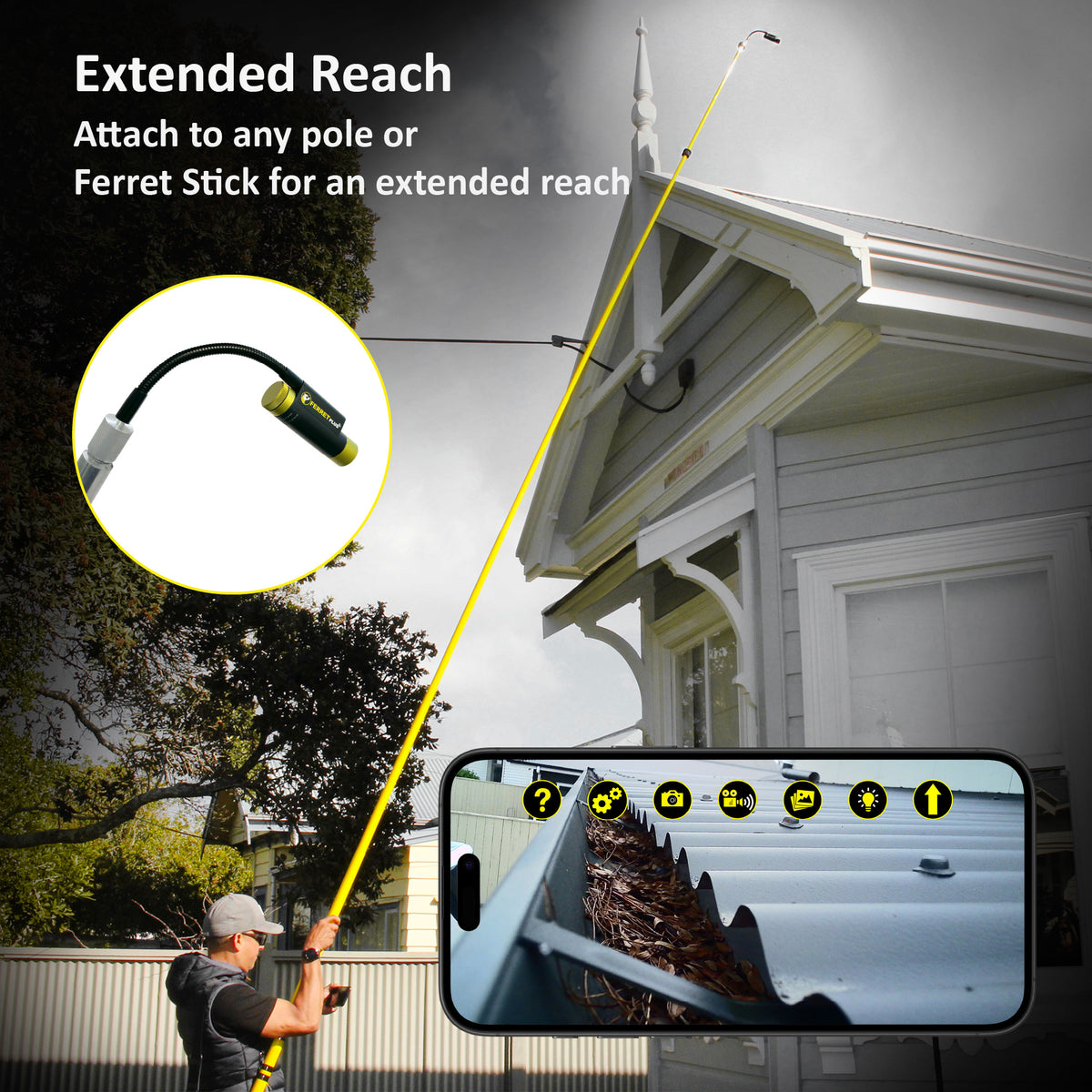 <tc>Ferret Plus</tc> (1080p)