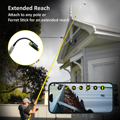 <tc>Ferret Plus</tc> (1080p)